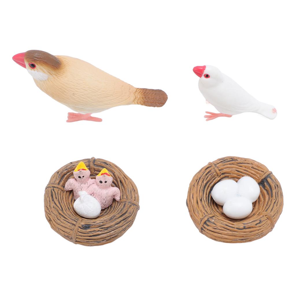 4 шт. Фигурки птиц из ПВХ для детей, реалистичные развивающие игрушки для цикла роста животных