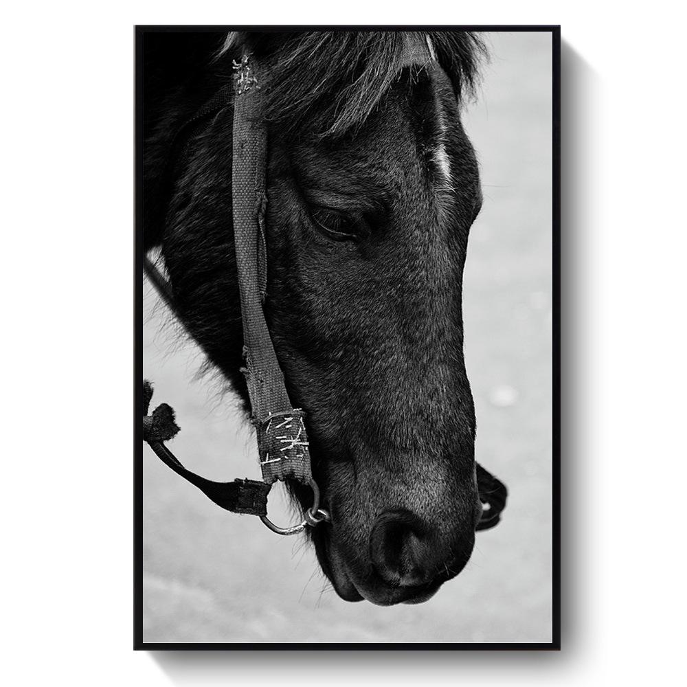 Украшение гостиной Картина Лошадь Диван Фон Секретный Скандинавский Подвесной Холст Художественная Роспись Черно-Белая Лошадь Животное