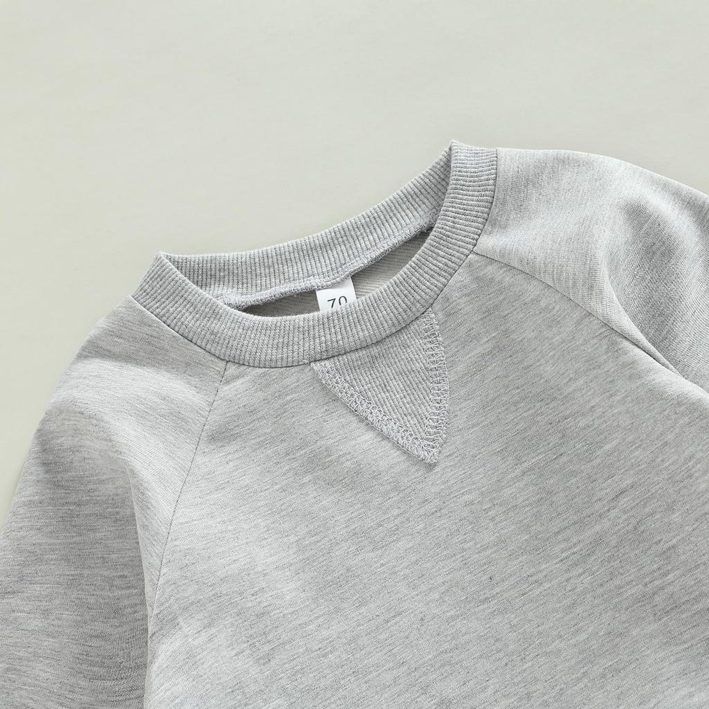 Toddler Boys 2pcs Activewear Outfits Solid Color Long Sleeve Sweatshirt T-shirt and Elastic Casual Pants Suit