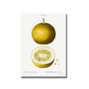 Nordic Kitchen Decor Canvas Painting Fruit Vegetables Pictures On The Wall Orange Art Posters for Home Design No Frame