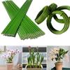 Bendable Single Stem Plant Support Stakes High Strength Easy To Use Wind Protection Indoor Outdoor Plants Stakes