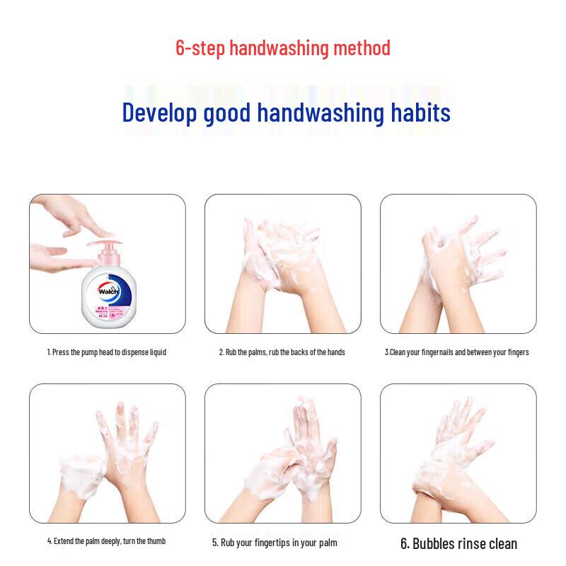 Walch Healthy Care Antibacterial Hand Wash