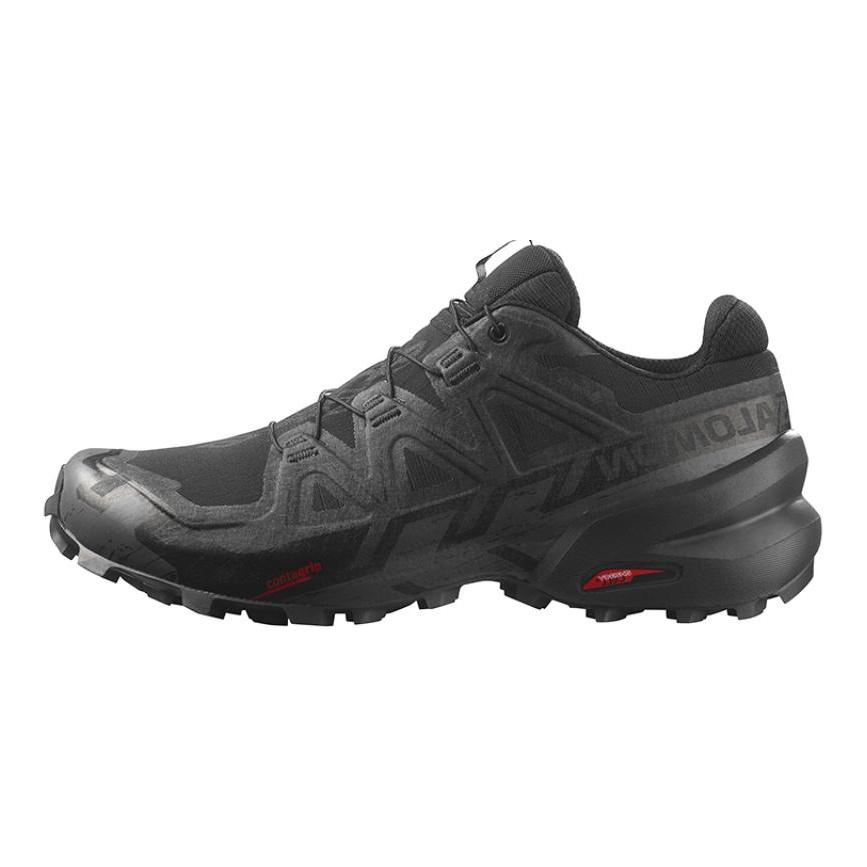 SALOMON Кроссовки Speedcross 6 Gore Tex 'Black' / L00 417386