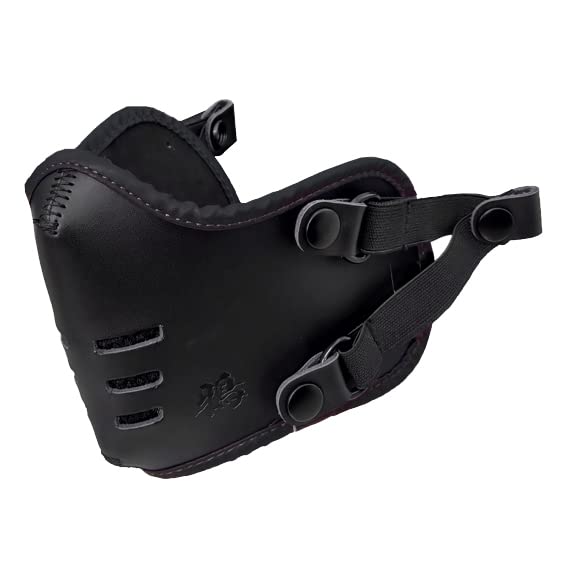 DELTA Direct Motorcycle Face Raven (Black) (D-2173)