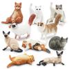 10 Simulated Cat Animal Models Lazy Orange Cat Siamese Cat Muppet Cat Black Cat Flower Cat Desktop Ornament Toys