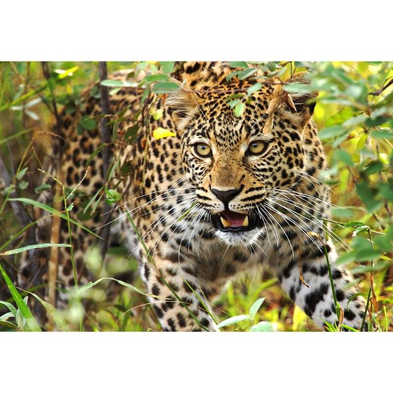 DIY 5D алмазная живопись леопарды Алмазная вышивка лесные животные вышивка крестиком полная круглая дрель из смолы домашний декор художественный подарок