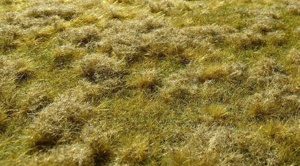 Model Scene Premium Grass Fallow Late Mini 13cm X Hobby Mat, Field, Summer, Pack, 17cm, Material, F523-S (Diorama)