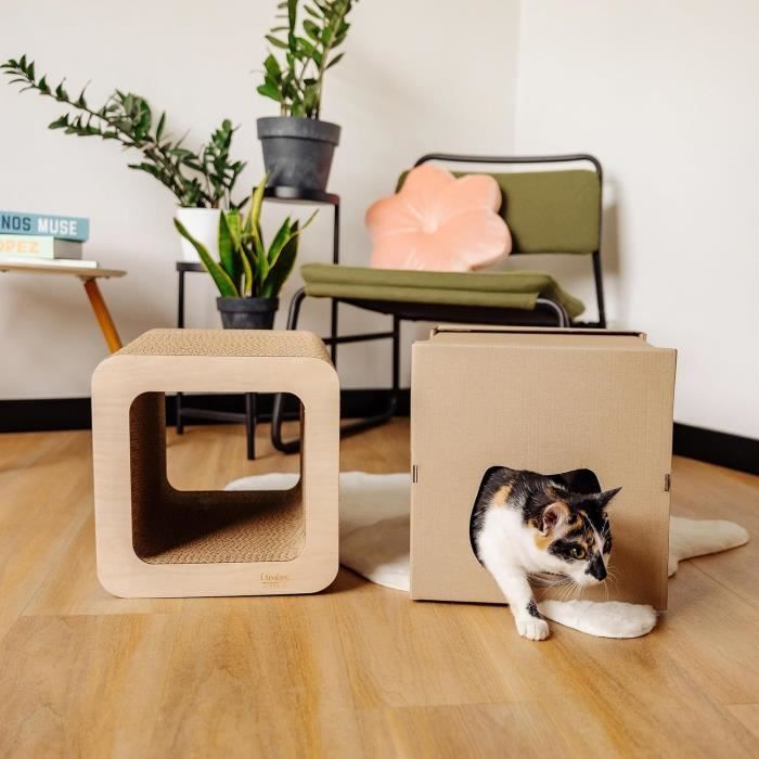 Когтеточка для кошки - CREATIVE PETS - Картонный домик - 37 x 30 x 30 см - Коричневый - Прочный