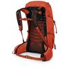 Рюкзак Osprey Tempest Pro 30 silver lining