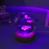 Luminous 3D Crystal Ball Night Light - Engraved Glass Room Ornament, Perfect Birthday Gift for Girls