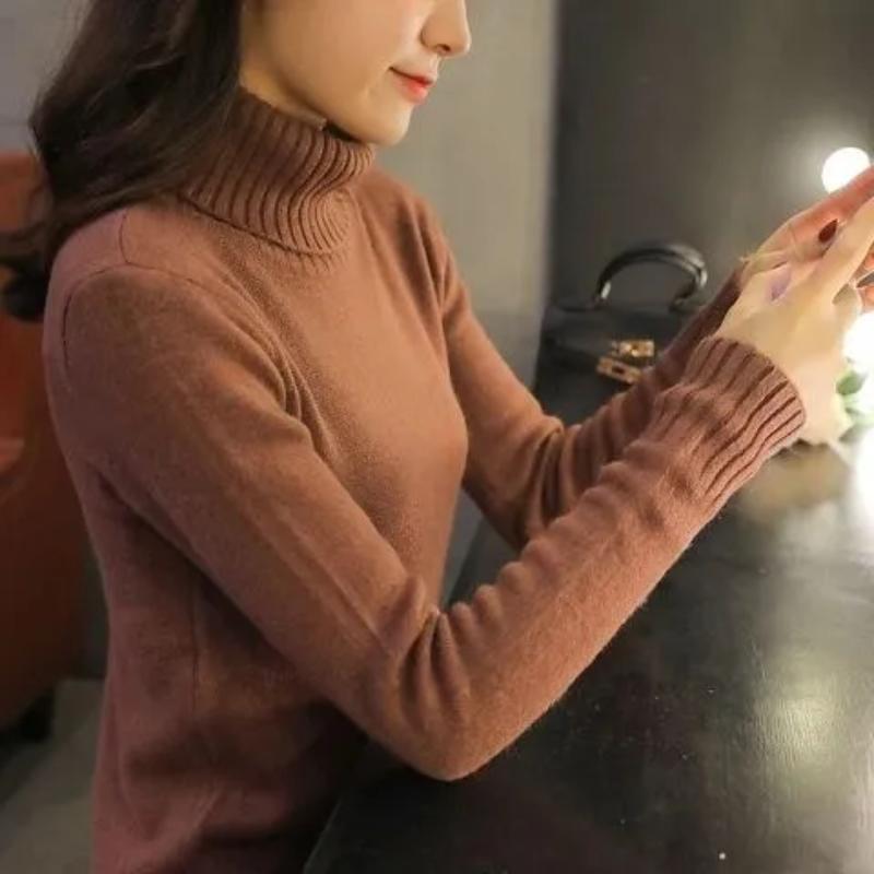 Autumn and Winter Turtleneck Sweater Female Long-sleeved Fashion Wild Warm Padded Bottoming Sweater