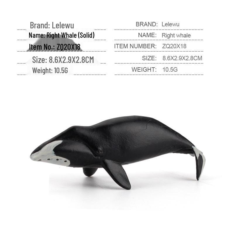 Children's Marine Animal Model Set: Mini Whale, Shark, Dolphin, Turtle, Sea Lion