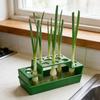 3D-печатный кашпо для зеленого лука на 14 отверстий, гидропонная регенерация зеленого лука, держатель для кашпо, настольный ящик для беспочвенной посадки
