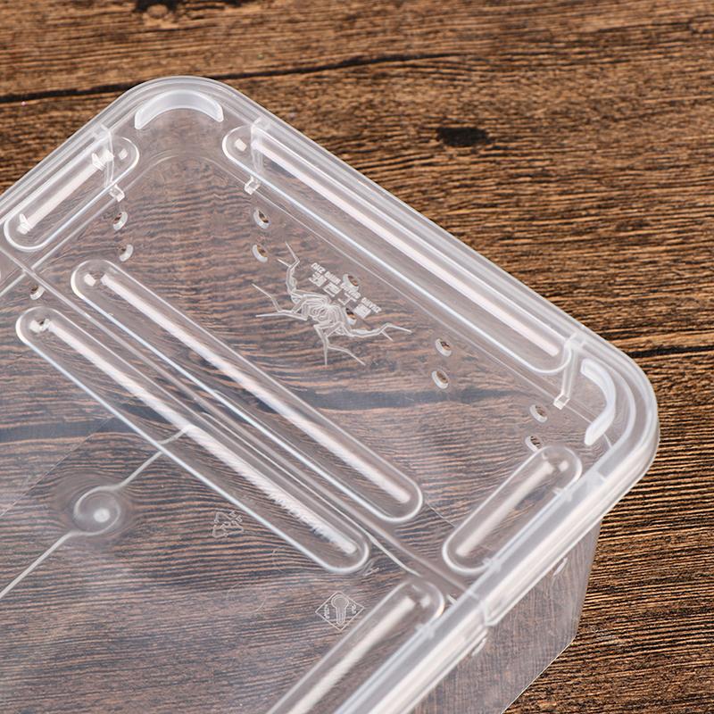 Reptile Box Mantis Jumping Spider Silkworm Rearing Box Reptile Rearing Box