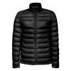 Womens/Ladies Wilson Lightweight Padded Jacket