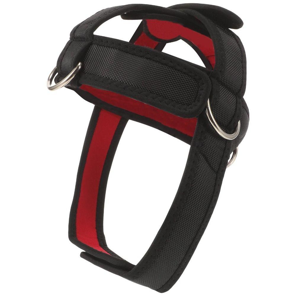 Black Head Training Harness Adjustable Neck Strength Training Strap Head and Neck Trainer Band Gym
