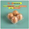 Одноразовый прозрачный лоток на 4 яйца ShengBiLai