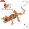 Oenux New Simulation Wild Reptile Animals Action Figures Lizard Model Figurines Kids Education Congnitive Scene Decoration Toy