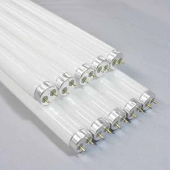 NEC Sun White 5 Fluorescent Light Bulbs, Glow Starter Type, 15W, Daylight White, 10-Pack (FL15N10set)