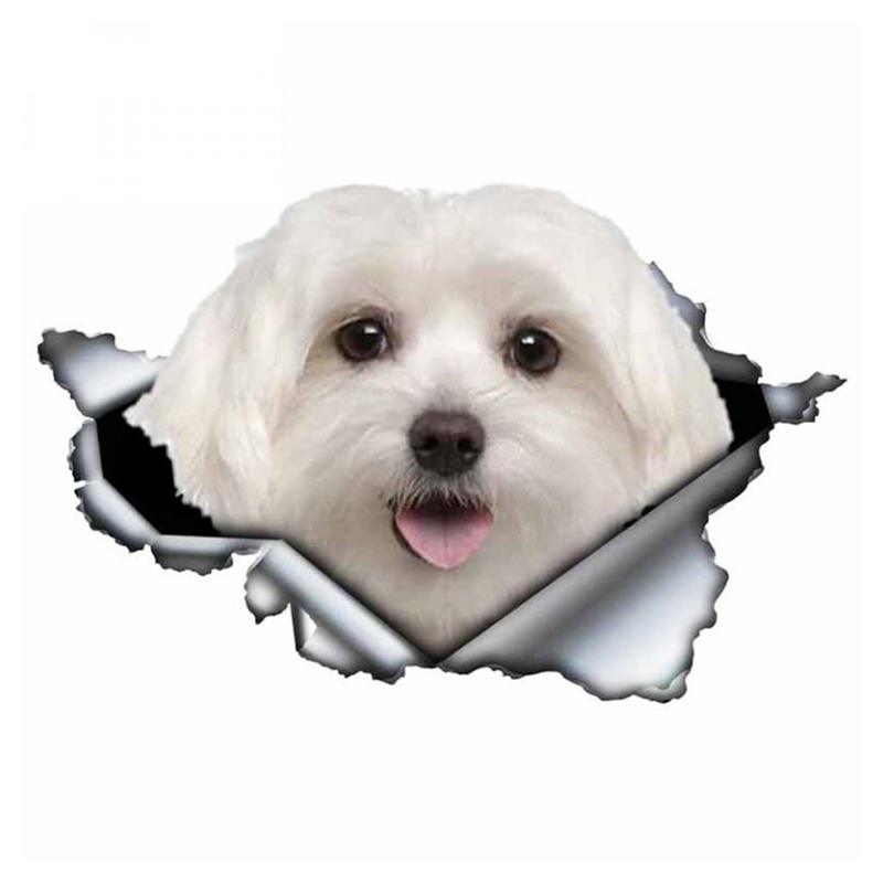 A0108 #13 см/17 см 3D самоклеящаяся наклейка милая мальтийская собака наклейка на автомобиль водостойкая автодекорация на бампере заднее окно ноутбука