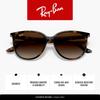 Солнцезащитные очки RB4378F Азиатская посадка Ray-Ban
