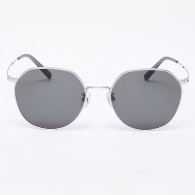 Aloeyewear [Air Titanium] AL2501 1111G Air Titanium Panto Серебристые Солнцезащитные очки