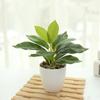 Plastic Artificial Plants Bonsai Lifelike Green Pot Plants Decoration  Outdoor Indoor Decoration