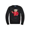 Polo Sweater Gift Bear Pattern Embroidered Crew Neck Long Sleeve Knit Kids Sweaters 323833388-001