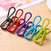 10pcs PP Excellent Quality Stainless Steel Clothes Peg Towel Sock Clip Pant Clothes Underwear Clips Small Metal Clips for Hanger