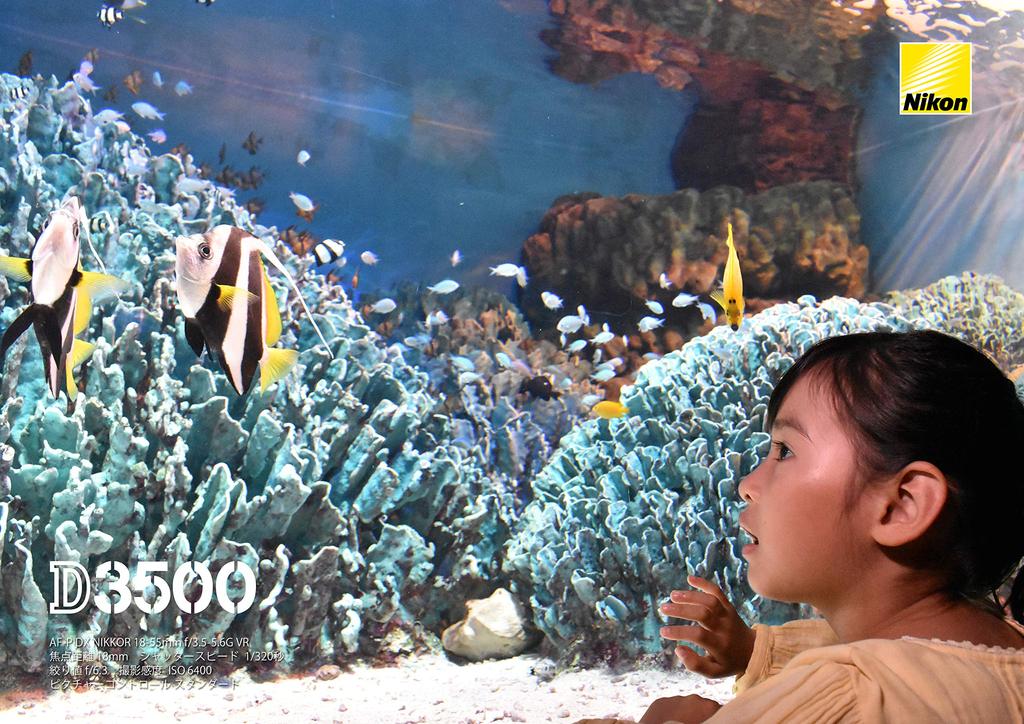 Стандартный зум-объектив Nikon DX NIKKOR VR эксклюзивно для формата Nikon DX AF-P 18-55mm f/3.5-5.6G