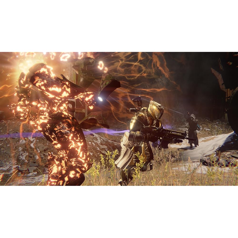[PS4] Destiny