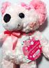 Local Bear, Owakudani Bear, Cherry Blossom Plush Toy S, Owakudani Limited Edition Bear, Fujini Makoto