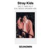 Stray Kids SKZ IT TAPE СДЕЛАЙ ЭТО ЗЛОДЕЙСКИ SKZOO ДИНАМИК ВЕР. Официальная фотокарта