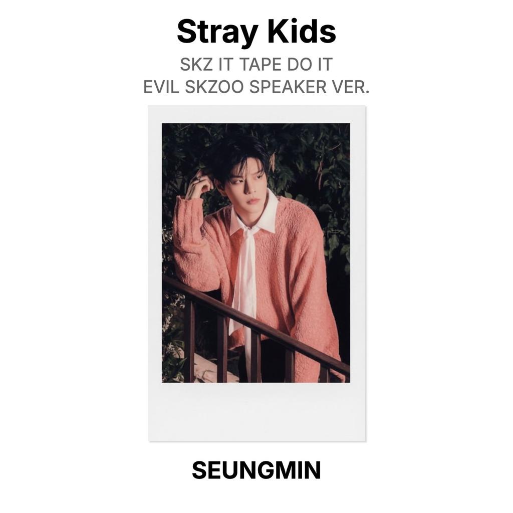 Stray Kids SKZ IT TAPE СДЕЛАЙ ЭТО ЗЛОДЕЙСКИ SKZOO ДИНАМИК ВЕР. Официальная фотокарта