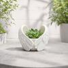 Angel Wings Planter, 3D Printed Decorative Flowerpot, White Feathered Wings Plant Pot for Succulents Small Plants