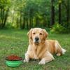 Silicone Collapsible Dog Bowl Large Capacity with Cover and Hook Dog Food Water Basin Space Saving Pet Water Food Dish