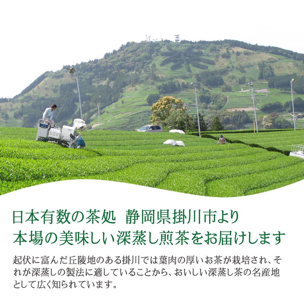 Sencha Tea Bags Made with Tea from Shizuoka for Hot and Cold Triangular Nylon Tea Makes Approximately 100 5g X 30 Bags Deep-Steamed (Matcha Included),