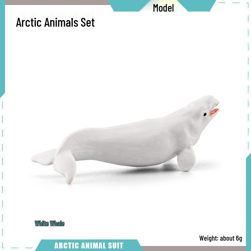Children's Marine Animal Model Set: Mini Whale, Shark, Dolphin, Turtle, Sea Lion
