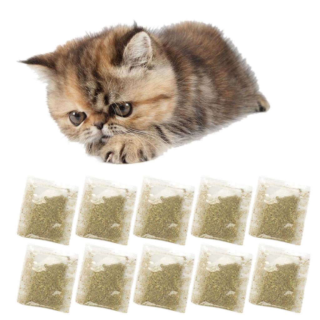 10 Pack Natural Catnips Powder Supplement Promote Active Play In Your Furry Friend Encourage Playful Behavior