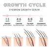 Clubday Eyelash Growth Serum and Eyebrow Enhancer Natural Lengthening Thickening Eyelash Treatment Nourishing Liquid Eye Makeup Care Essentials