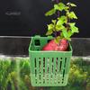 1/2/3/5/10Pcs Aquarium Plant Holder Top Hanging Fish Tank Planter Pot with Hook Platic Aquatic Plant Cup for Aquascape Decoration