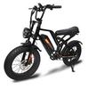 FXH-009 Electric Bike 500W48V15.6Ah Fat Tire Adult Off-Road Mountain Electric Bicycle