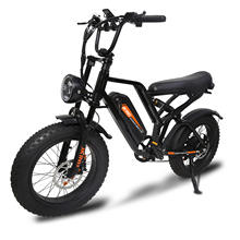 FXH-009 Electric Bike 500W48V15.6Ah Fat Tire Adult Off-Road Mountain Electric Bicycle