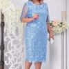 Women's Summer Large-size Dress Embroidered Lace Slim Dress