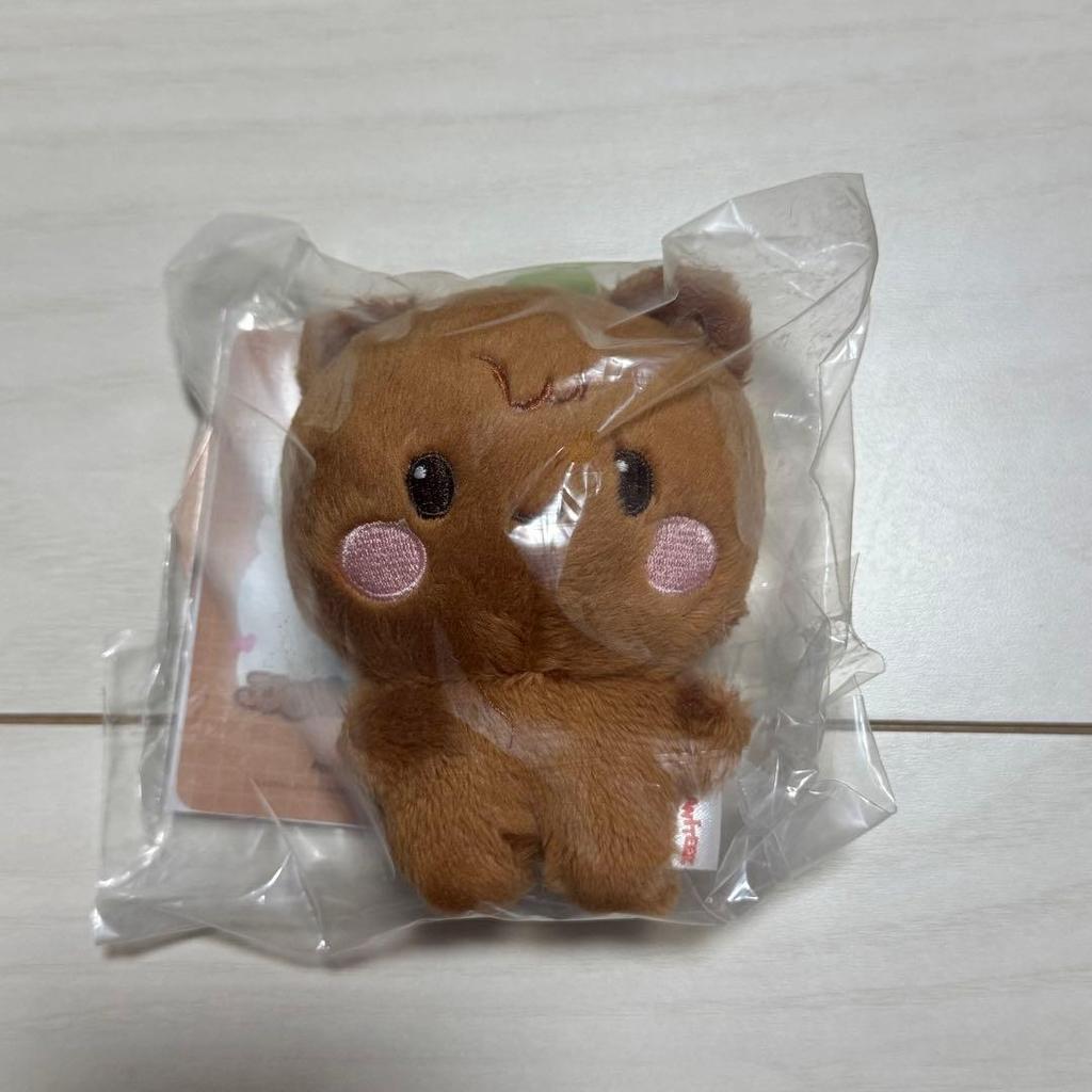 Б/у Плюшевая игрушка Jongho ATEEZ ANITEEZ John Bear Маленькая