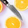 Damascus VG10 Kitchen Knife with Color Wood Handle Peeling Fruits Vegetable Sushi Knife Chef Cooking Knife