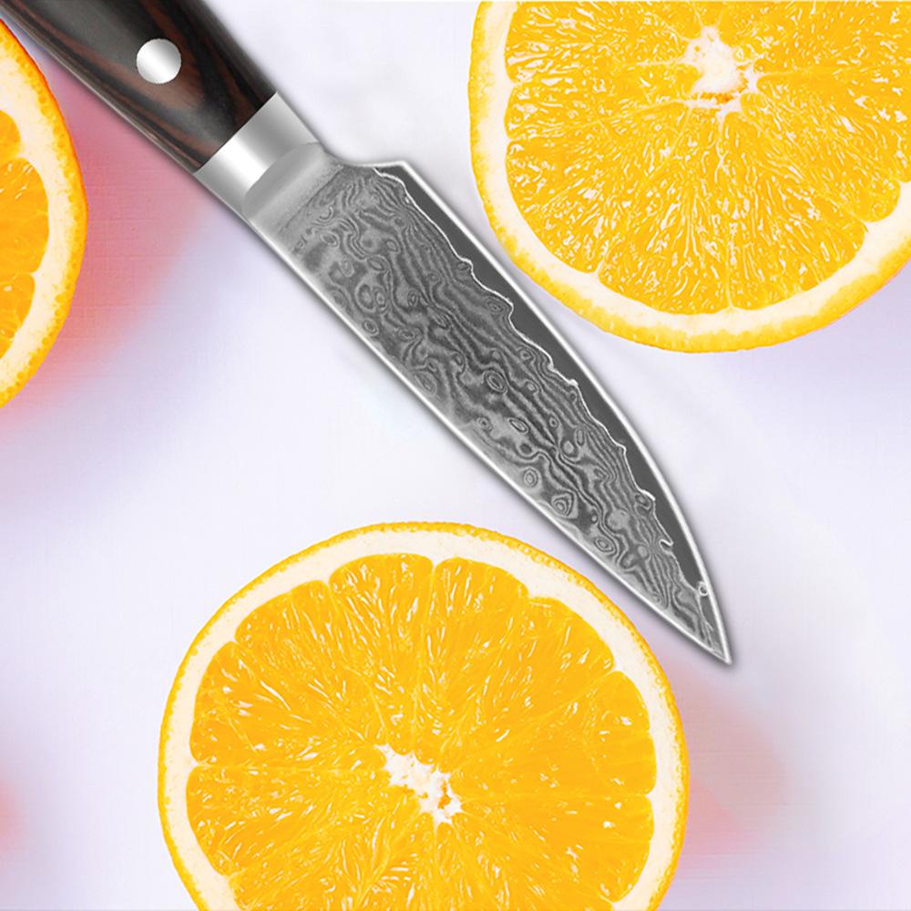 Damascus VG10 Kitchen Knife with Color Wood Handle Peeling Fruits Vegetable Sushi Knife Chef Cooking Knife