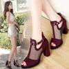 Sandals Women's Spring and Autumn Women's Shoes Versatile Medium Heel Fish Mouth Mesh Summer Thick Heel High Heels