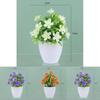 Artificial Causonis Japonica Plant With Realistic Design For Home And Office Decor
