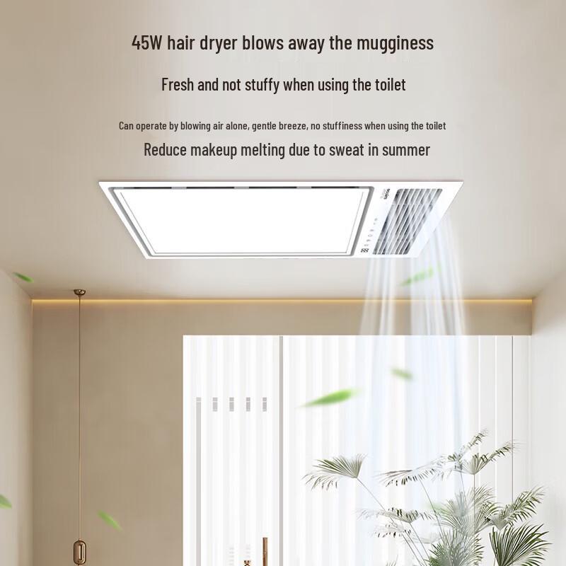 MICOE Graphene Ceiling Mount Bathroom Heater